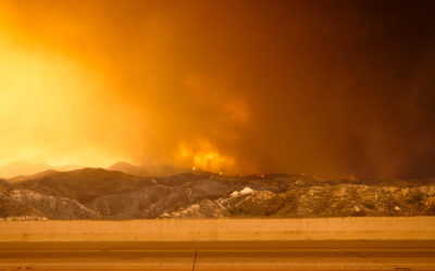 How to Help the Victims of the California Wildfires